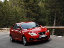 Seat Ibiza 2008 11